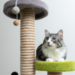 The Best Scratching Posts for Your Feline Friend