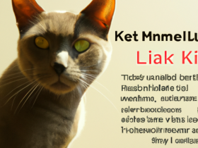 Understanding Feline Leukemia and How to Prevent It