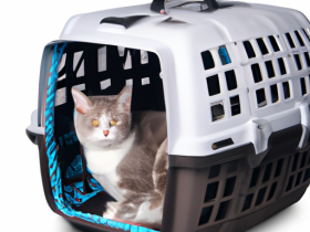 The Best Cat Carriers for Travel